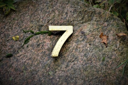 PARADIGM’S 7 YEAR JOURNEY, 7 LESSONS LEARNED